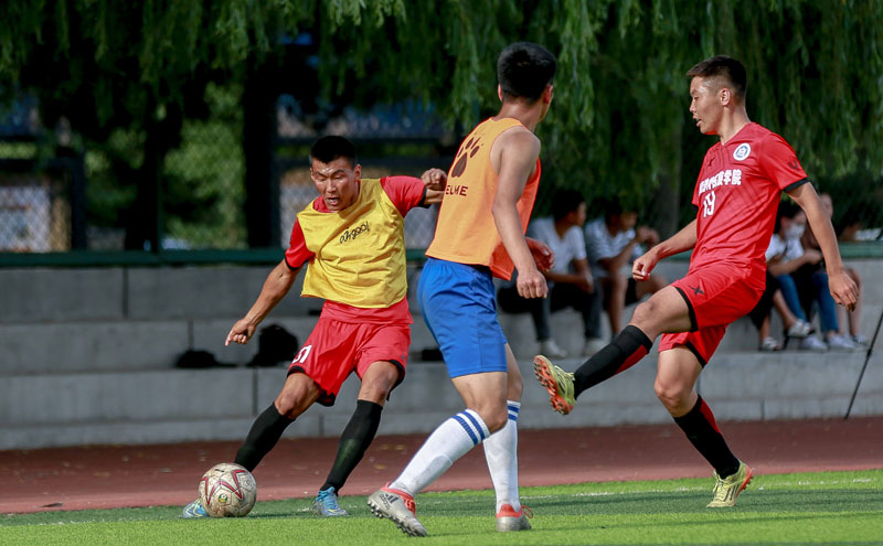 基米希：卡尔？能在拜仁表现出色并成为首发理应入选国家队（基米希：卡尔若在拜仁成为主力并发挥出色，应获国家队征召）